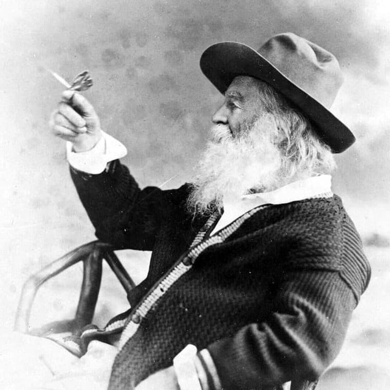 walter whitman with hist right arm stretch, pointing straight out, and a butterfly kindly stepping over his fingers